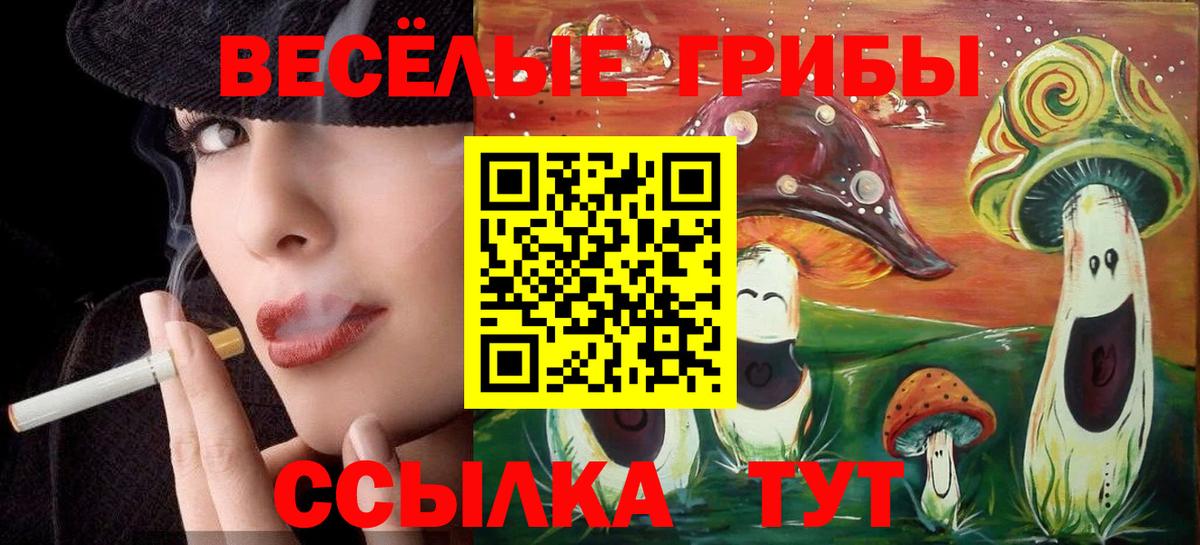 закладка  Галлюциногенные грибы Cubensis  Вход с VPN  Елец 